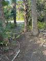 26051 Eaverson Road - Photo 4