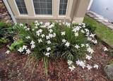 11513 Mossy Oak Drive - Photo 47