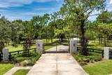 5208 Effie Drive - Photo 11