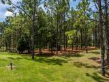 5208 Effie Drive - Photo 6