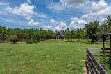 5208 Effie Drive - Photo 7