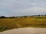 10016 White Egret Drive - Photo 3