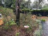 52 Pine Forest Drive - Photo 59