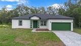10615 Didiscus Drive - Photo 2