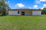 10615 Didiscus Drive - Photo 32