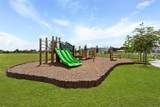 2600 Ginseng Ivy Street - Photo 17