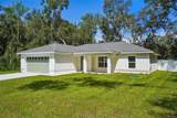 1194 Virginis Drive - Photo 2