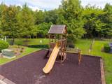 4787 Terra Esmeralda Drive - Photo 9