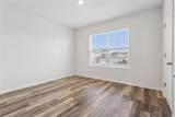29505 Caspian Street - Photo 23