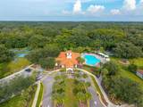 3016 Camino Real Drive - Photo 42