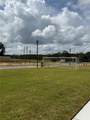 1816 Fan Palm Drive - Photo 16