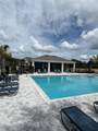 1816 Fan Palm Drive - Photo 18