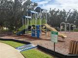 6436 Golden Dewdrop Trail - Photo 12