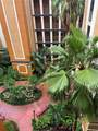 12527 Floridays Resort Drive - Photo 14