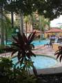 12527 Floridays Resort Drive - Photo 29