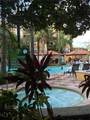 12527 Floridays Resort Drive - Photo 35