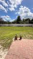 1434 Sage Bush Street - Photo 24