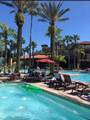 12527 Floridays Resort Drive - Photo 21