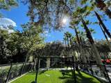 770 Siena Palm Drive - Photo 48