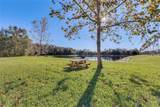 770 Siena Palm Drive - Photo 51