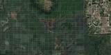  Holopaw Groves Road - Photo 1