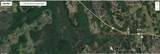  Holopaw Groves Road - Photo 2