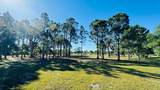 19788 284TH Street - Photo 11