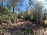 6291 Drake Avenue - Photo 3