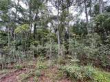 121 Doewood Trail - Photo 2