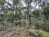 121 Doewood Trail - Photo 3
