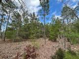 204 Glasgow Street - Photo 5
