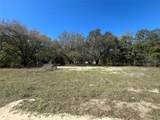 611 Michael Avenue - Photo 4