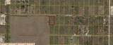 18188 268TH Street - Photo 9