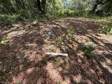 101 Joel Avenue - Photo 7