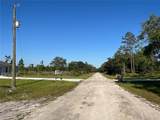 1019 Calendula Drive - Photo 3