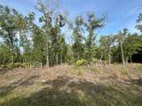 1321 Delores Drive - Photo 8
