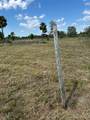 19882 258TH Street - Photo 9