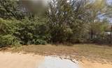 604 Kitty - Photo 6