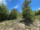 TBD Magnolia Lane - Photo 13