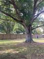 1214 Alligator Road - Photo 3