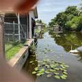 1558 Chobee Street - Photo 25