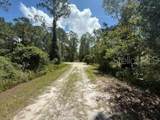 337 Palm Way - Photo 3