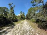 337 Palm Way - Photo 5