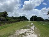 19145 270TH Street - Photo 8