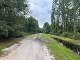 117 Mosswood Street - Photo 2