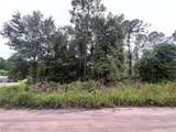  Hickory Nut Trail - Photo 7
