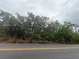 TBD Theresa Avenue - Photo 4