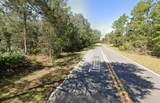 TBD Theresa Avenue - Photo 8