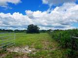 20533 250TH Street - Photo 2