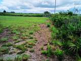 20533 250TH Street - Photo 4